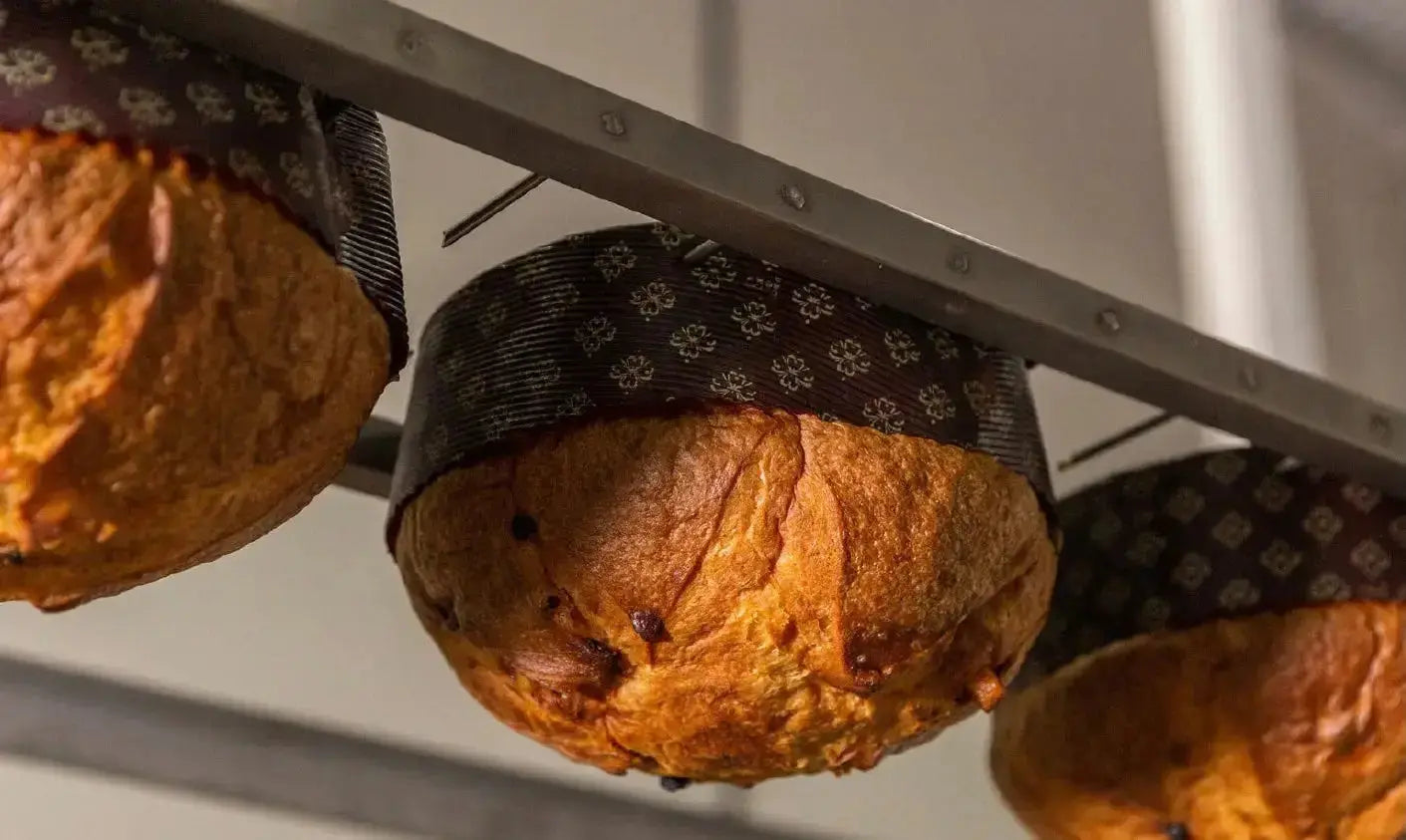 Panettone