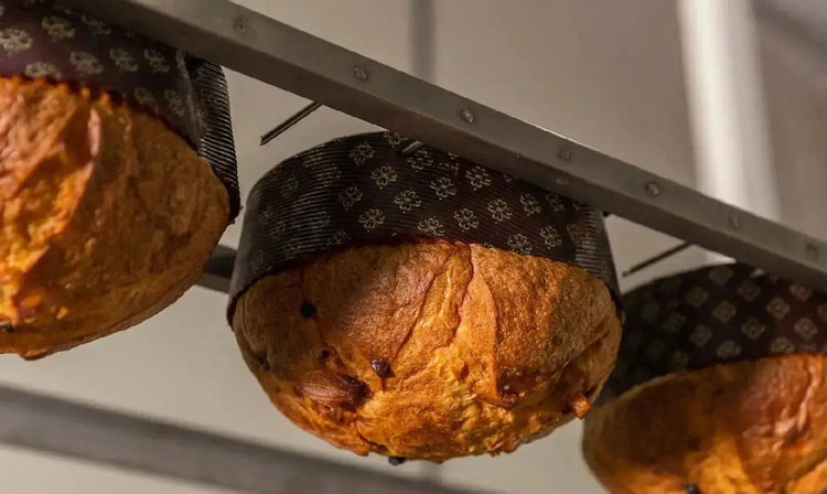 Panettone